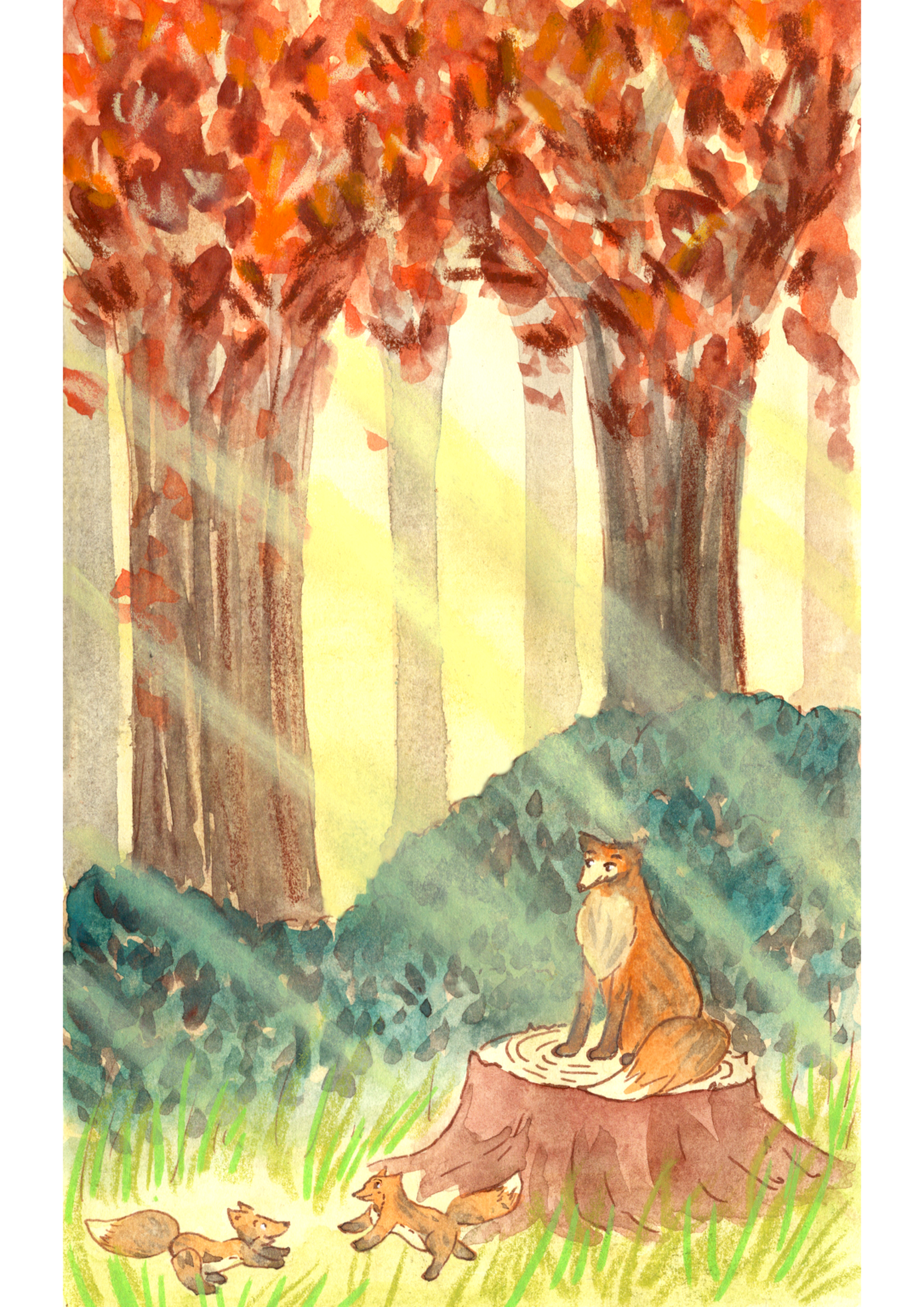 Famille de renard A4